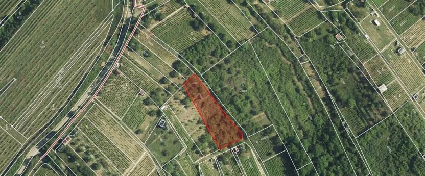 Pronájem zahrady, Hustopeče, 1387 m2