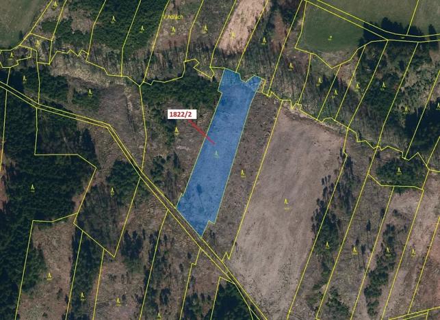 Dražba lesa, Žirovnice, 5108 m2