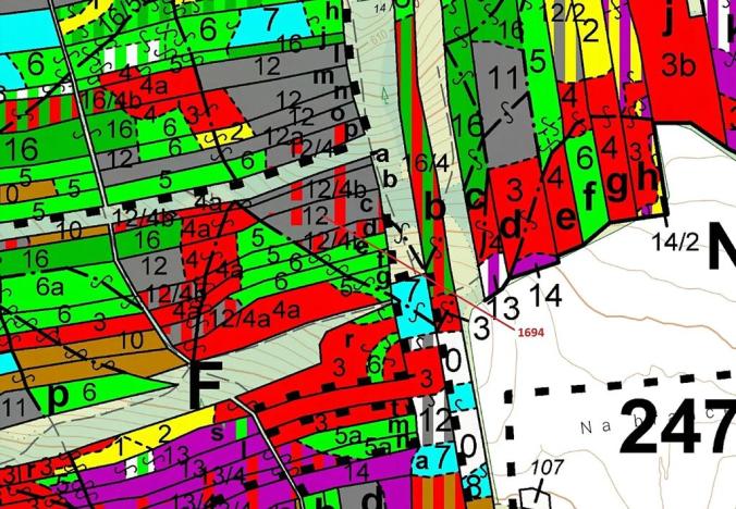Dražba lesa, Žirovnice, 5755 m2