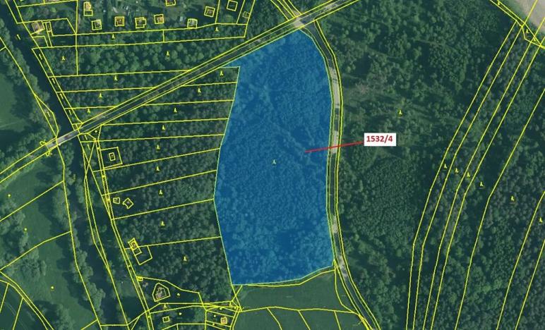 Dražba lesa, Římov, 34065 m2