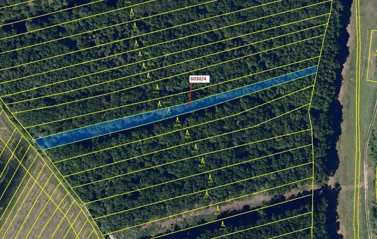 Dražba lesa, Archlebov, 2108 m2