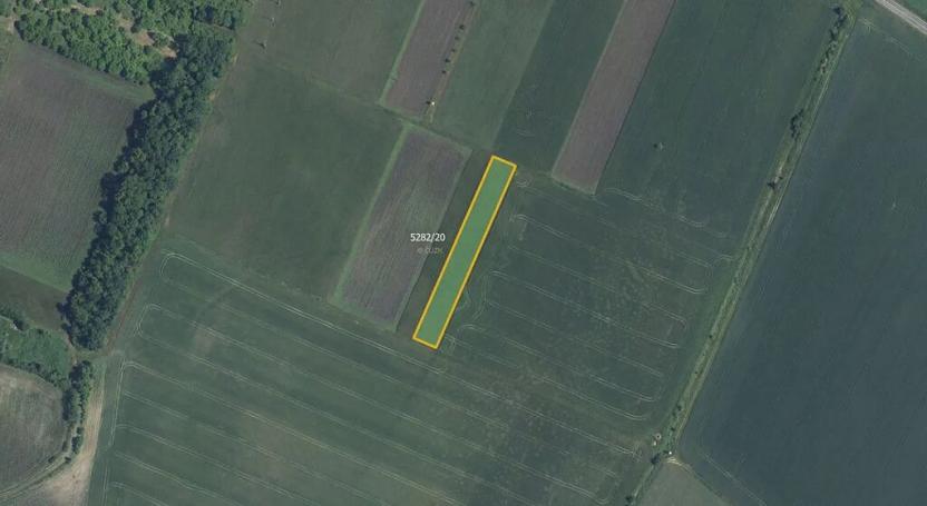 Prodej pole, Novosedly, 3161 m2