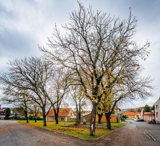 Prodej rodinného domu, Stará Huť, Pod Šimoňákem, 165 m2
