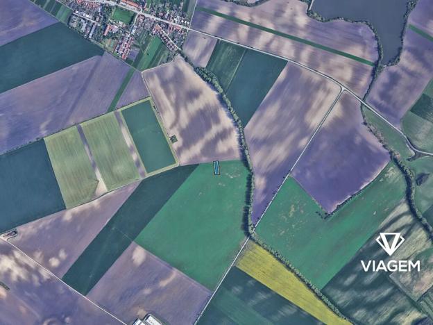 Prodej podílu pole, Šitbořice, 500 m2