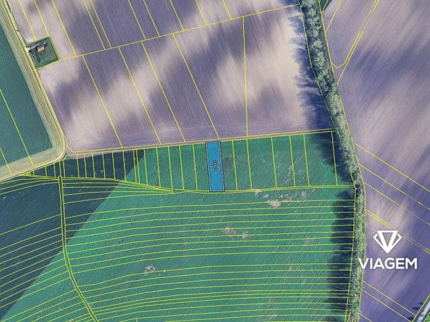 Prodej podílu pole, Šitbořice, 500 m2