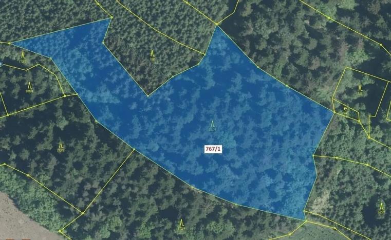 Dražba lesa, Lačnov, 12637 m2