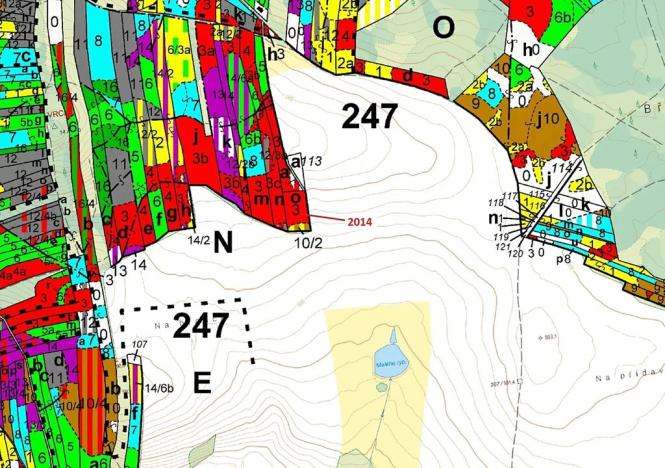 Dražba lesa, Žirovnice, 2931 m2