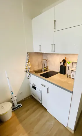 Prodej bytu 1+kk, Praha, Peroutkova, 23 m2