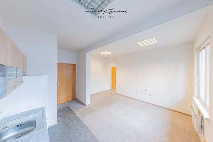 Pronájem kanceláře, Olomouc, I. P. Pavlova, 65 m2