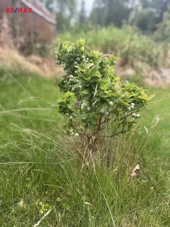 Prodej rodinného domu, Čistá, Tyršova, 130 m2