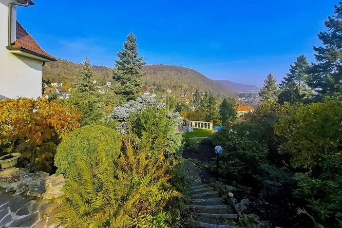 Pronájem vily, Černošice, V Horce, 300 m2