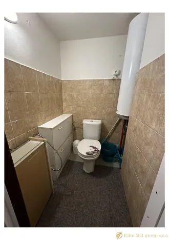 Prodej bytu 1+kk, Praha - Nusle, Doudlebská, 31 m2