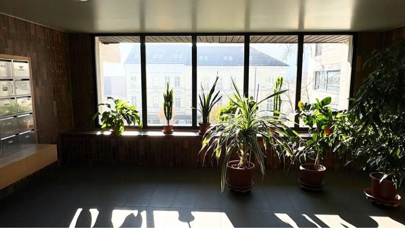 Prodej bytu 2+kk, Praha - Smíchov, Holečkova, 51 m2