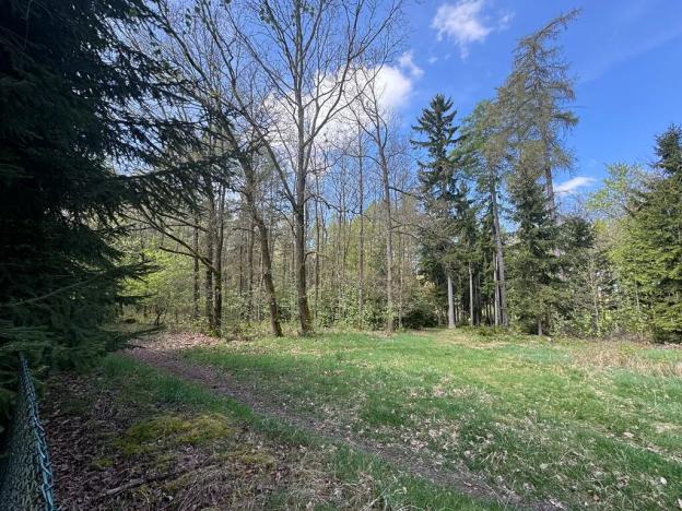 Prodej pozemku pro bydlení, Bohutín, 1379 m2