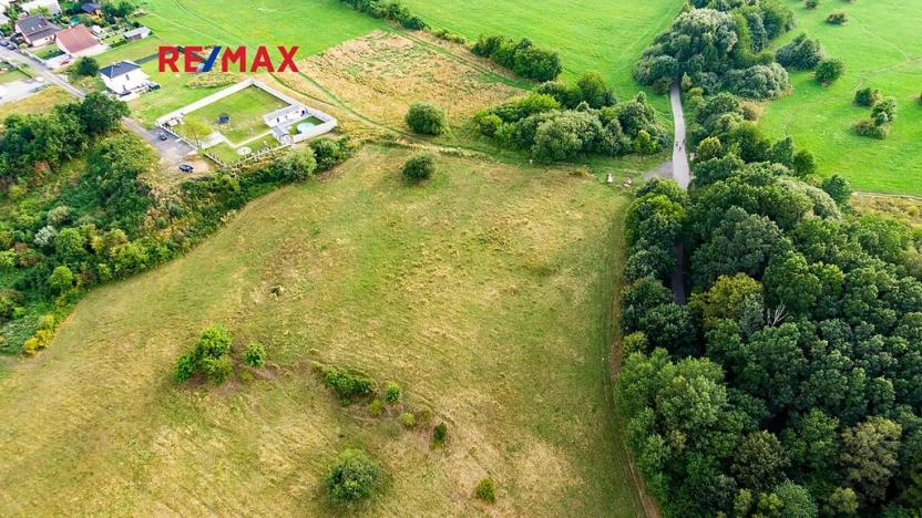 Prodej louky, Česká Lípa, 9571 m2