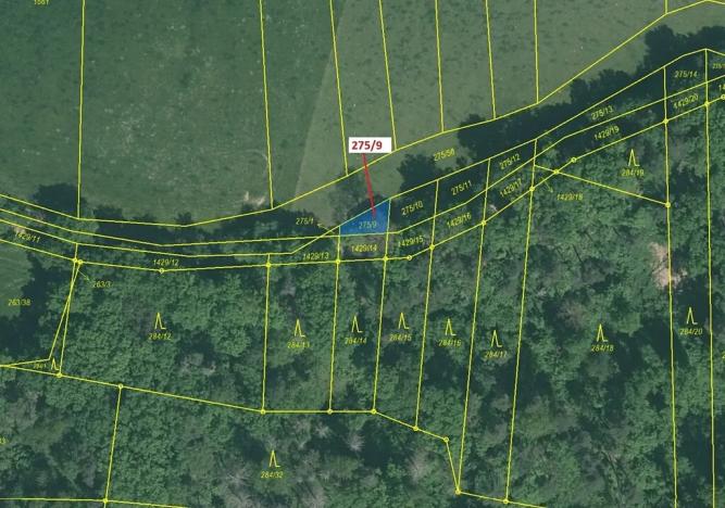 Dražba pole, Milavče, 72 m2