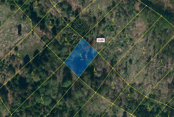 Dražba lesa, Náměšť nad Oslavou, 931 m2