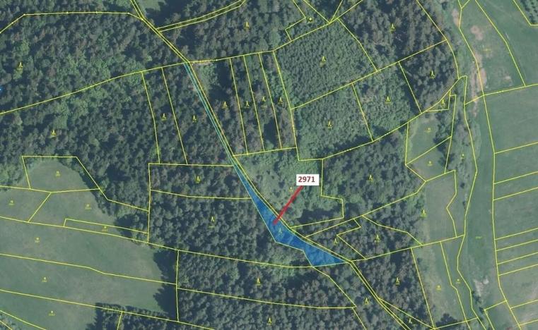 Dražba lesa, Lačnov, 1723 m2