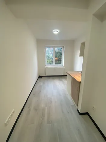 Pronájem bytu 1+kk, Praha - Hlubočepy, Na Zlíchově, 14 m2