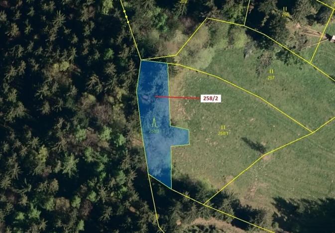 Dražba lesa, Zděchov, 697 m2