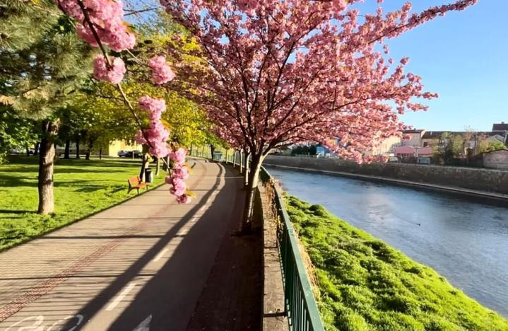 Prodej bytu 2+1, Břeclav, Slovácká, 51 m2