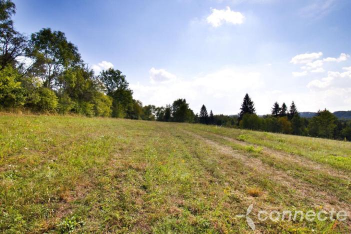 Prodej louky, Samopše, 14836 m2