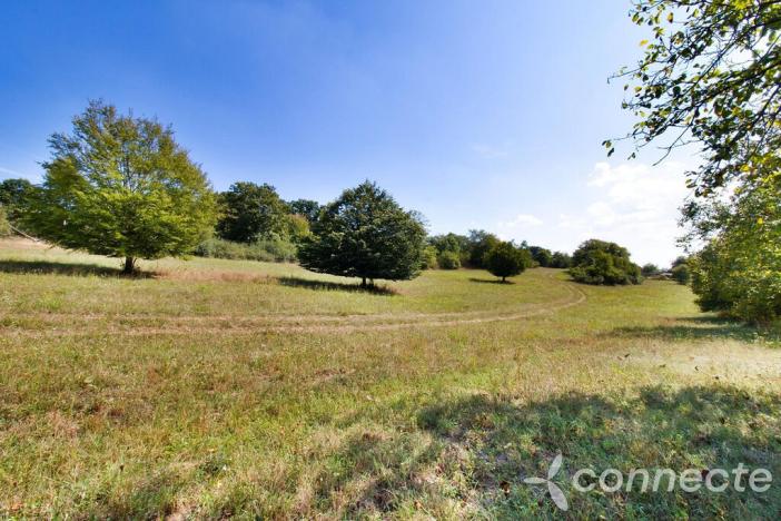 Prodej louky, Samopše, 14836 m2