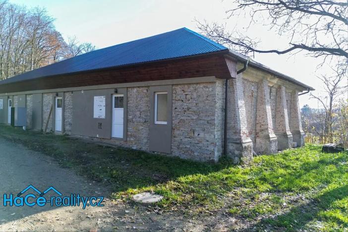 Pronájem bytu 1+kk, Kvasiny, 35 m2