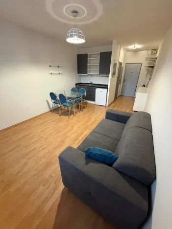 Pronájem bytu 1+kk, Praha - Záběhlice, Jabloňová, 25 m2
