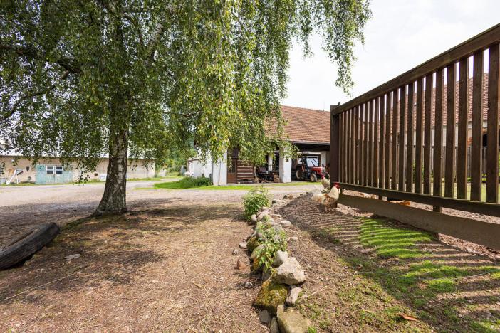 Prodej komerční, Potštejn - Brná, 23296 m2