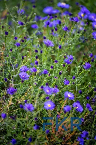 Prodej rodinného domu, Psáry, V Domkách, 114 m2