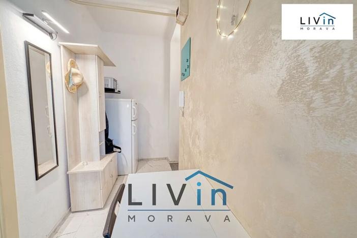 Pronájem bytu 1+1, Olomouc, Starodružiníků, 28 m2