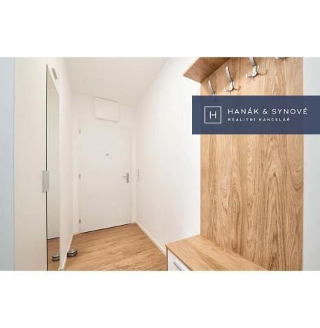 Pronájem bytu 1+kk, Brno, Chaloupkova, 30 m2