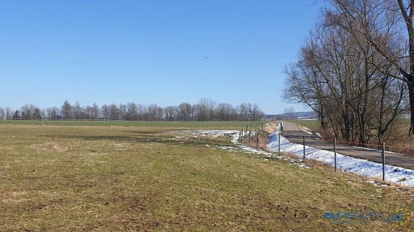 Prodej louky, Police nad Metují, 8001 m2