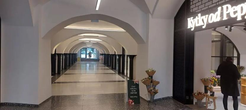 Pronájem bytu 2+kk, Praha - Nusle, Muzikova, 51 m2