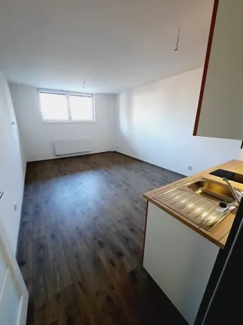Pronájem bytu 1+kk, Polepy, 31 m2