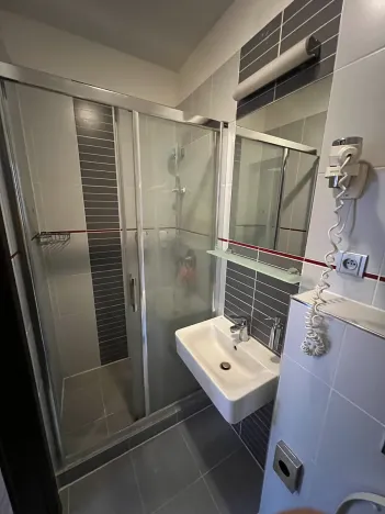 Pronájem bytu 1+kk, Brno, Francouzská, 20 m2