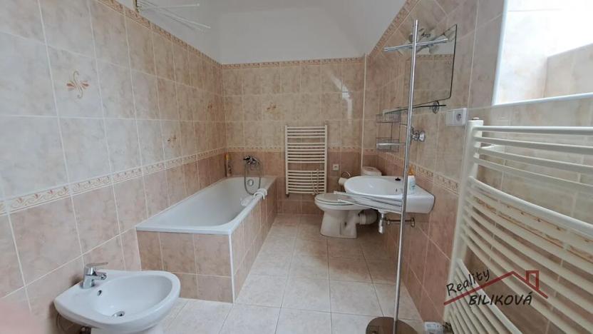 Pronájem bytu 2+kk, Brandýs nad Labem-Stará Boleslav, Riegrova, 77 m2