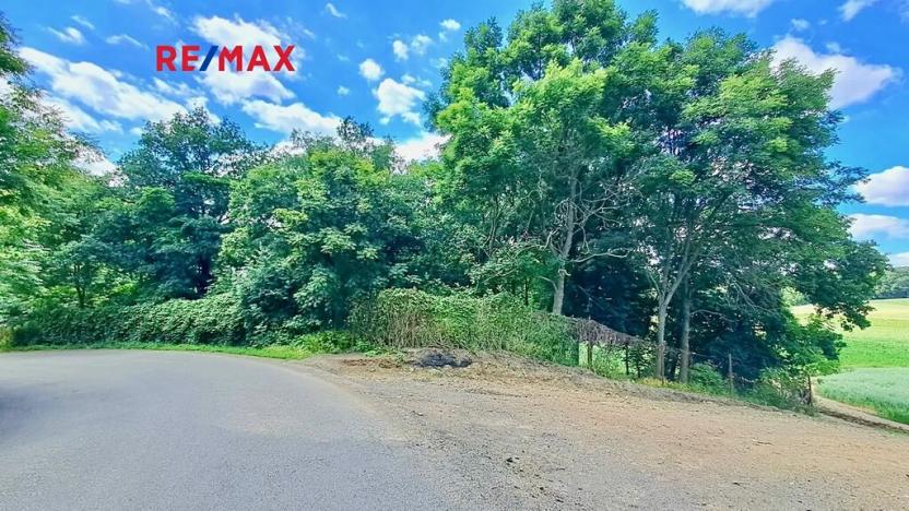 Prodej komerčního pozemku, Říčany, 4529 m2