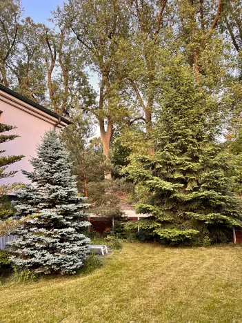 Pronájem vily, Statenice, 180 m2