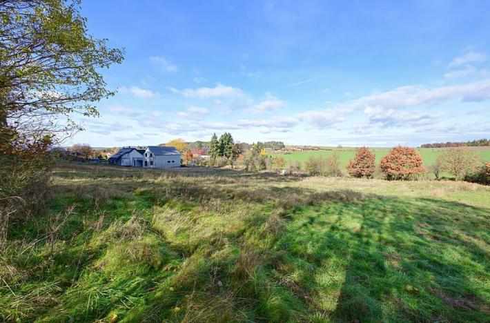 Prodej pozemku pro bydlení, Daleké Dušníky, 1217 m2