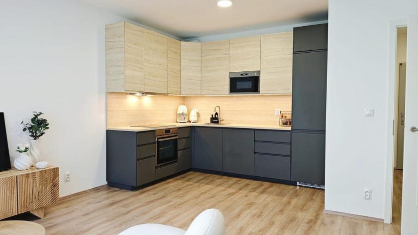 Pronájem bytu 2+kk, Brno - Brno-město, Spolková, 53 m2