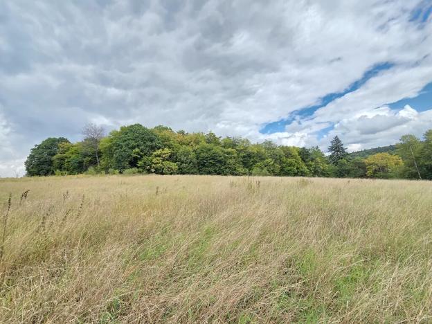 Prodej pozemku pro bydlení, Křtiny, 5638 m2