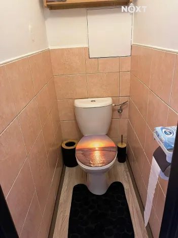 Pronájem bytu 1+1, Planá nad Lužnicí, Průmyslová, 40 m2