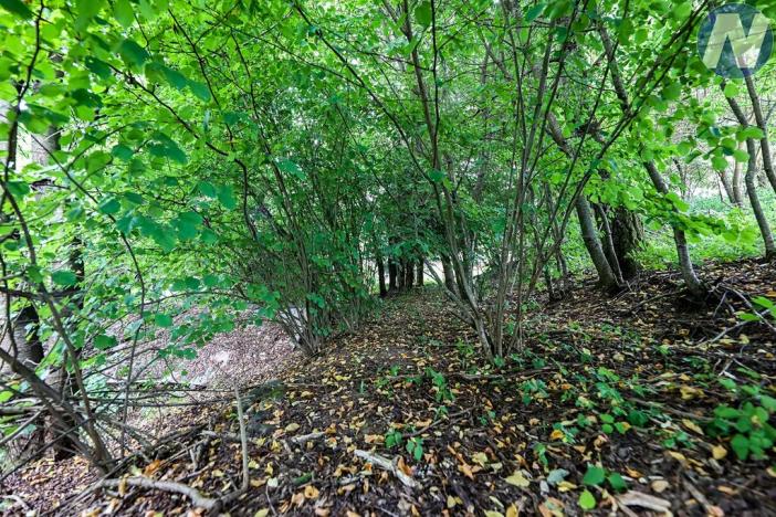 Prodej rodinného domu, Mutěnín, 75 m2