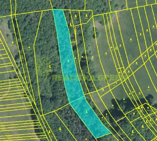 Prodej lesa, Hřivínův Újezd, 11067 m2