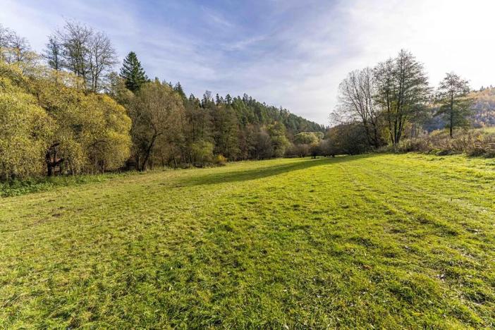 Prodej pozemku, Všechlapy, 774 m2