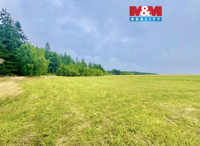 Prodej louky, Buková, 13470 m2