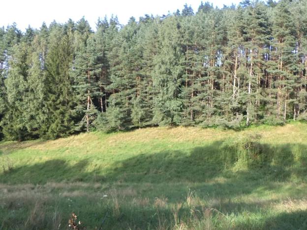 Dražba louky, Dolní Dobrouč, 71151 m2