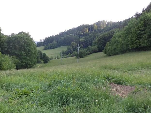 Dražba pole, Městečko Trnávka, 12576 m2